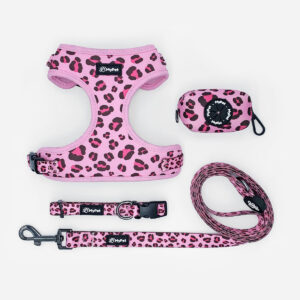 Pink Leopard